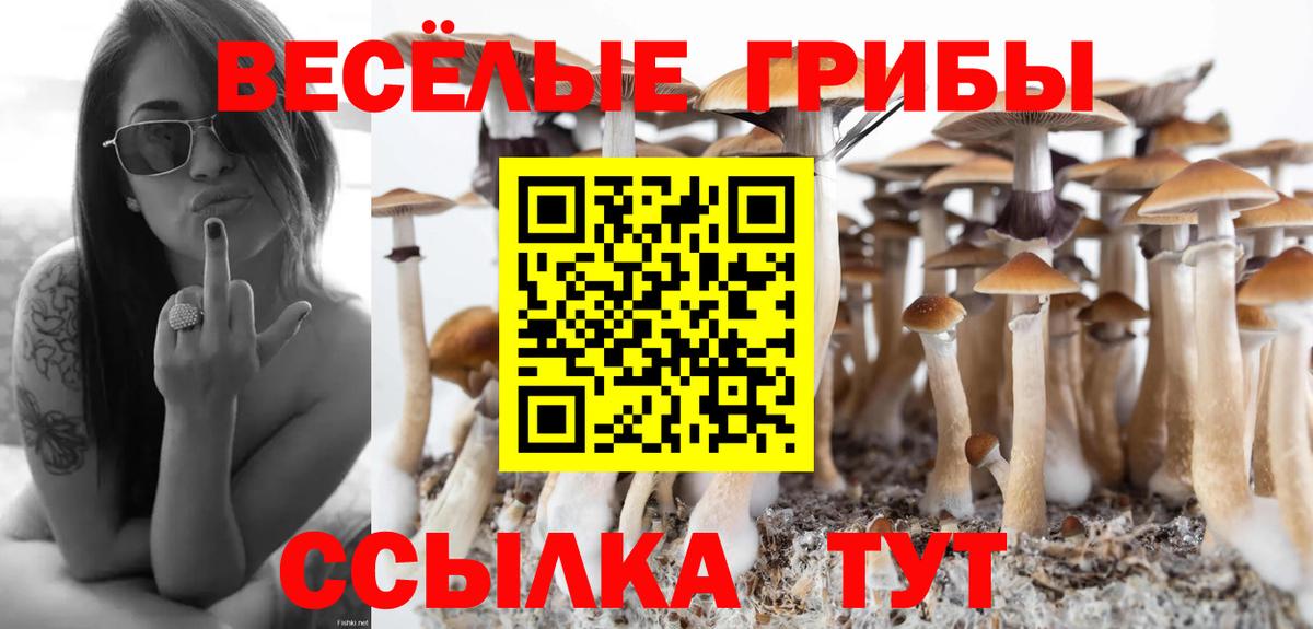 Волгодонск  Галлюциногенные грибы Psilocybine cubensis  Вход с VPN 